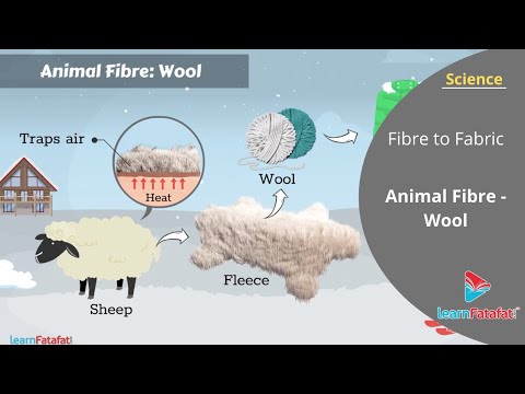 Fabric made from animal fibers